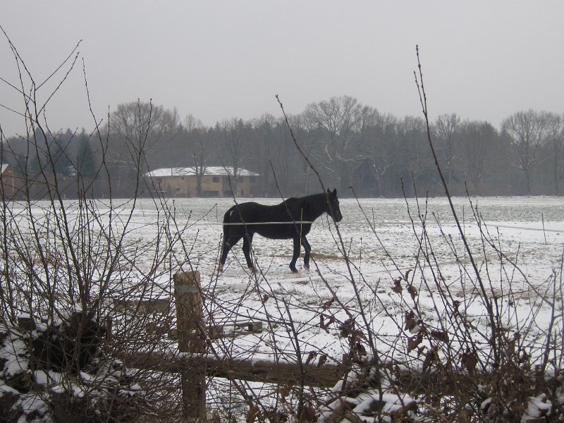 CTF Kattenberg 097